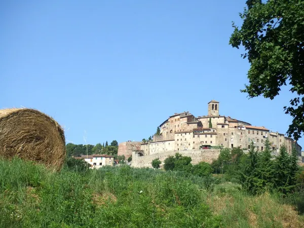 Panoramic view of Anghiari on the hillside