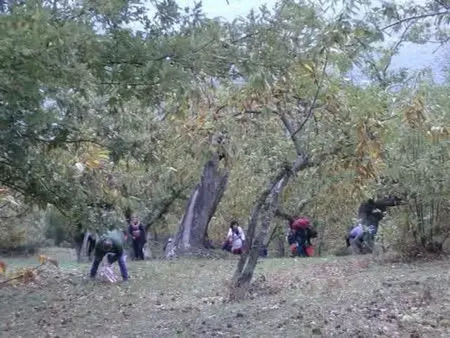 Castagnata 04